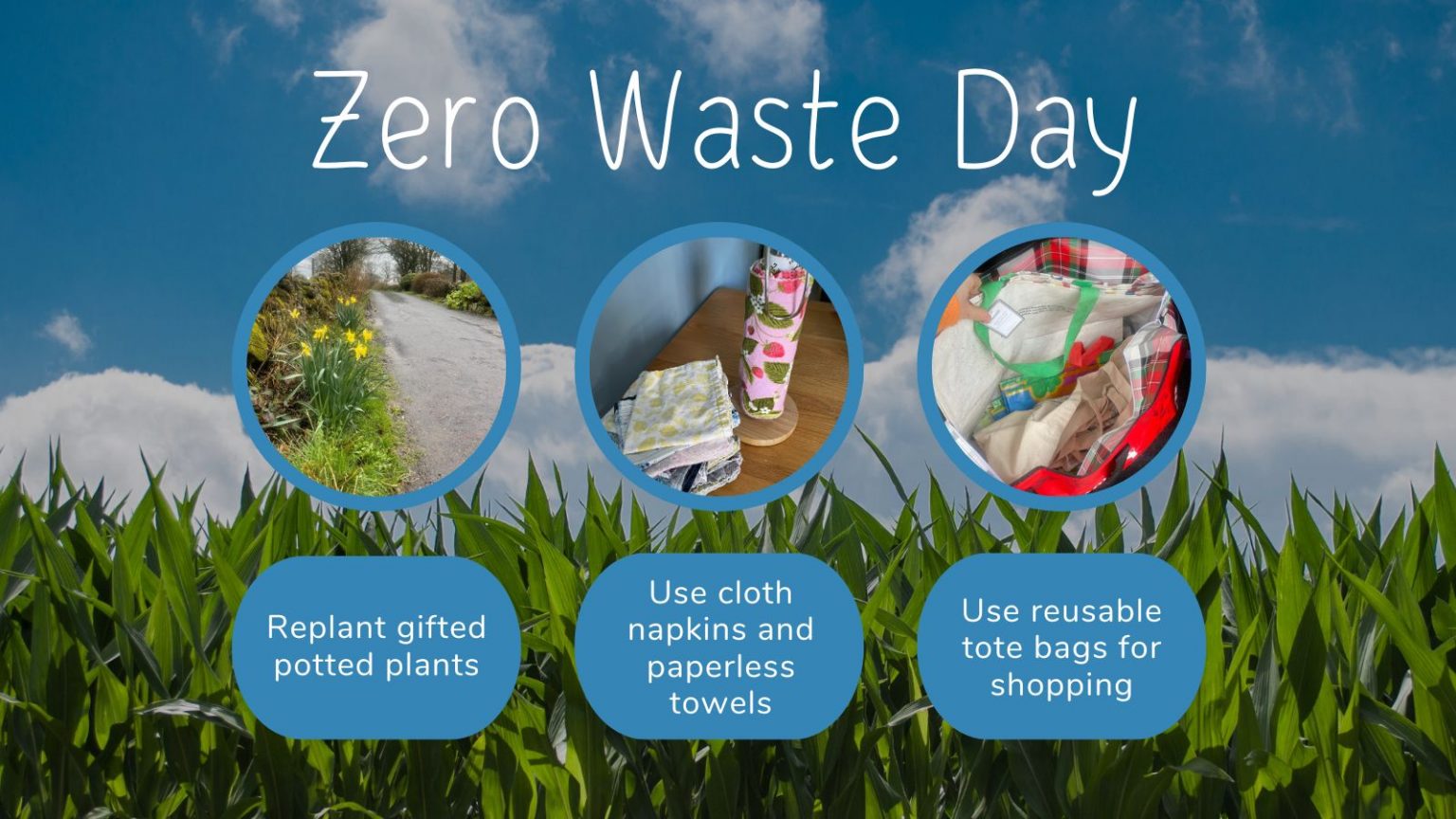 International Zero Waste Day Trust Your Supplier