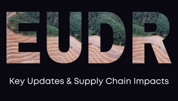 EU Deforestation Law: Key Updates and Supply Chain Impacts 