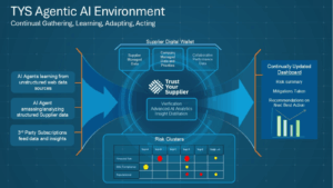 Chart showing TYS Agentic AI environment.