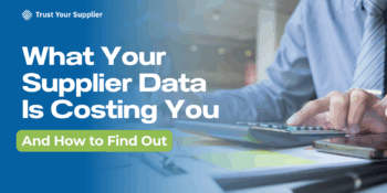 What Your Supplier Data Is Costing You (And How to Find Out)
